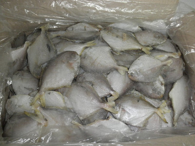 黑龍江水產品批發與加盟指南 聚焦哈爾濱暢達水產的產業優勢